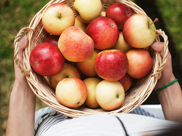 sta je zdrava ishrana jabuke
