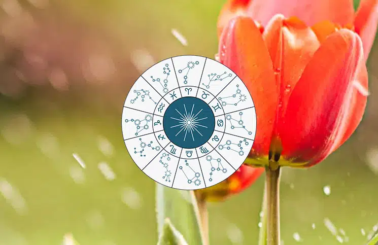 Nedeljni horoskop za period od 17 do 23 aprila 2021